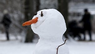 Balta žiema pasaulyje