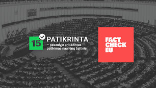  Europos faktų tikrintojai susivienijo prieš EP rinkimus – 15min vienintelis „FactCheckEU“ partneris regione