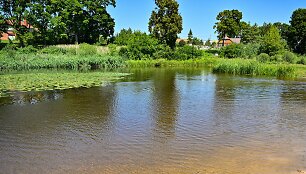 Panevėžio braidykla