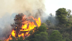 Mi&scaron;ko gaisras Ispanijoje