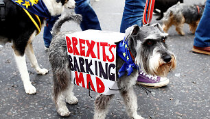 Tūkstantis &scaron;unų su &scaron;eimininkais Londone protestavo prie&scaron; &bdquo;Brexit&ldquo;