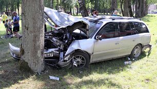 Nuo kelio nuvažiavo &bdquo;Opel Omega&ldquo; ir skaudžiai rėžėsi į medį