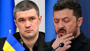 Mychaila Fedorovas, Volodymyras Zelenskis
