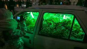 &Scaron;viesų festivalis Vilniuje