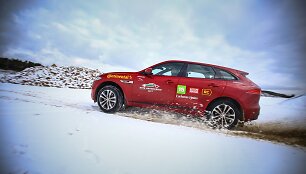 &bdquo;Metų automobilio 2017&ldquo; rinkimuose visureigiai sudaro daugiau nei pusę dalyvių