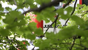 Gaisras Jurbarko rajone