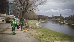 Vaizdas i&scaron;kirtus medžius.