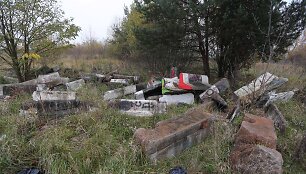Nenaudojamos žemės sklypas Vilniuje