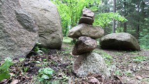 Akmenų rūža Tytuvėnų regioniniame parke