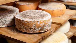 Sardinijos sūris