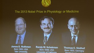 Amerikiečiai biologai Jamesas Rothmanas bei Randy Schekmanas ir Vokietijoje gimęs tyrėjas Thomas Suedhofas pelnė 2013 metų Nobelio medicinos ir fiziologijos premiją.