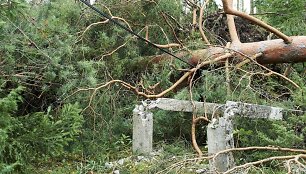 Audros padariniai