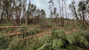 Vėjo i&scaron;laužytos pu&scaron;ys Valakampiuose