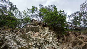  Muoriškių dolomito atodanga