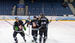 Vilniaus „Hockey Punks“