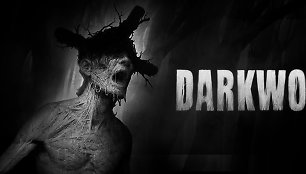 Žaidimas „Darkwood“