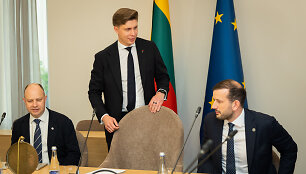 Socialdemokratų partijos, Lietuvos valstiečių ir žaliųjų sąjungos bei Demokratų sąjungos &bdquo;Vardan Lietuvos&ldquo; atstovų derybos 