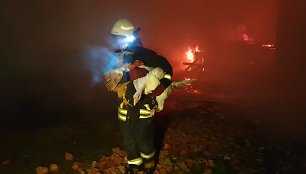 Ugniagesiai iš degančio ūkinio pastato Rumšų kaime, Šilutės rajone, nešė paukščius. Išgelbėti kalakutai, vištos ir putpelės.