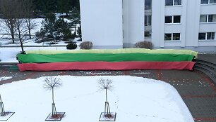 MRU studentai ir dėstytojai Valstybės atkūrimo dieną.