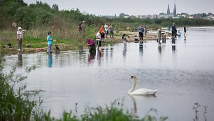 &bdquo;Auk&scaron;linės&ldquo; Kiduliuose: nuo žuvies iki vėjo gaudymo