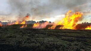 Asociatyvinė iliustracija: deganti žolė