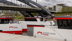 Viliaus laivai