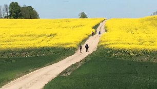 „Camino Lituano“