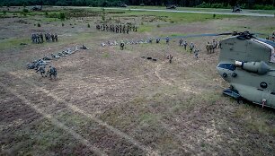 NATO pratybos 