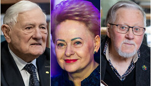 Valdas Adamkus, Dalia Grybauskaitė, Vytautas Landsbergis