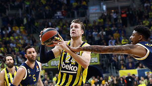 Janas Vesely