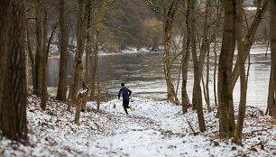 Tvarkomas Vingio parkas