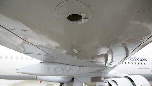 Matote skylę? Prie priekinio jos kra&scaron;to yra nedidelis gumbelis