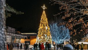 Ketvirtadienio vakarą Nidos centre sužibėjo pagrindinė kurorto eglė