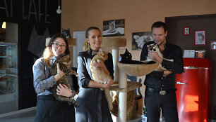Vienas &bdquo;Cat cafe&ldquo; kavinės įkūrėjų Tautvydas Bitinas (de&scaron;inėje)