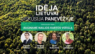 „Idėja Lietuvai“