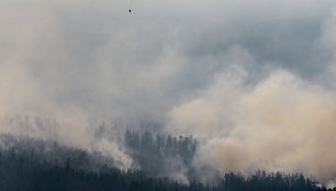 Miškų gaisrai Sibire 