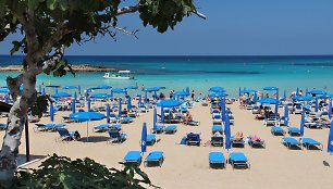 Fig Tree Bay, Kipras