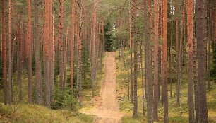 Briedžių takais po Gražutės regioninį parką