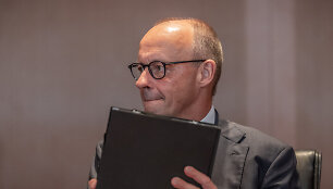 Friedrichas Merzas / Michael Kappeler / dpa/picture-alliance