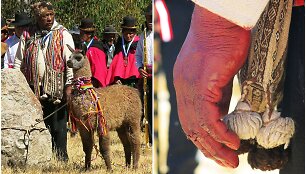 Aukojimo ceremonija Peru