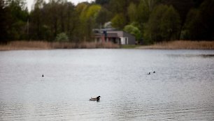 Vilniečiai džiaugiasi vasarišku oru pliaže