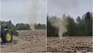 Dulkių velnias