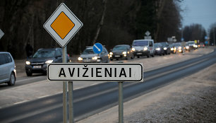 Avižienių gyvenvietė