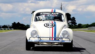 Herbis, „The Love Bug“