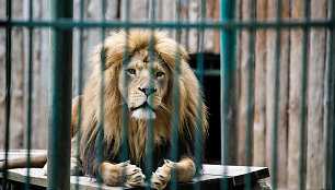 Lietuvos zoologijos sodas prieš uždarymą