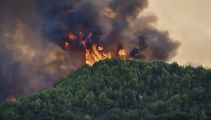 Miško gaisras Graikijoje