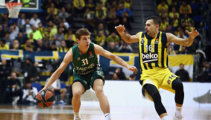 Rokas Jokubaitis