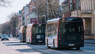 Klaipėdos autobusų parkas nuomosis dešimt elektra varomų autobusų.