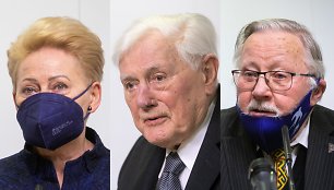 Dalia Grybauskaitė, Valdas Adamkus, Vytautas Landsbergis