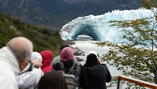 Argentinos Perito moreno ledynas